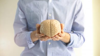 افزایش عملکرد مغز با کمک دست چپ