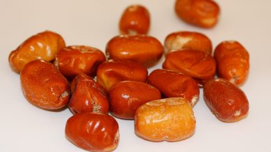 تعبیر مشاهده سنجد در خواب