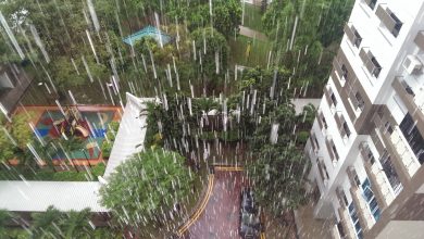 چرا و چگونه میزان بارندگی را اندازه گیری می کنند؟