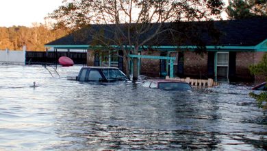 تعبیر مشاهده سیل در خواب