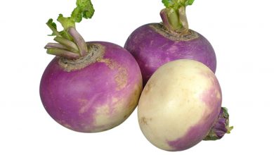 تعبیر مشاهده شلغم در خواب