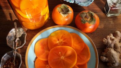 طرز تهیه ترشی خرمالو