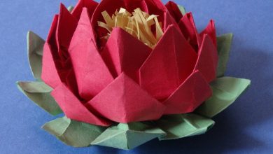 ایده ساخت نیلوفر آبی اوریگامی
