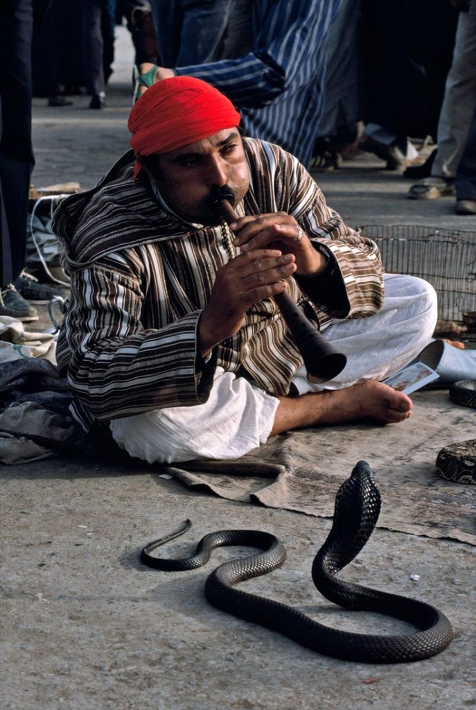 مارگیر