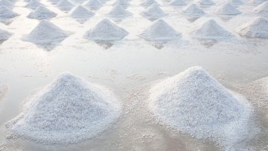 چگونه از آب دریا نمک استخراج می شود؟