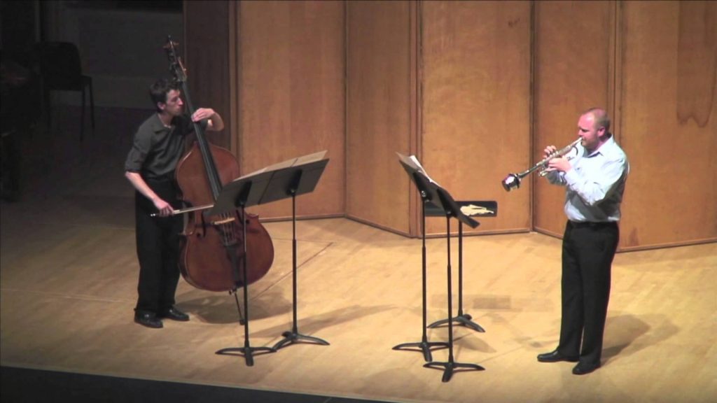 نواختن کُنترباس