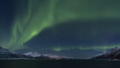 نور قطبی چیست؟