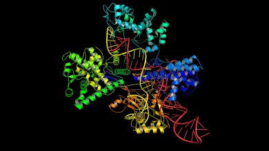 کریسپر: ابزار ویرایش و تغییر هدفمند DNA