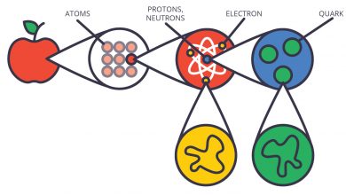 کوارک چیست؟