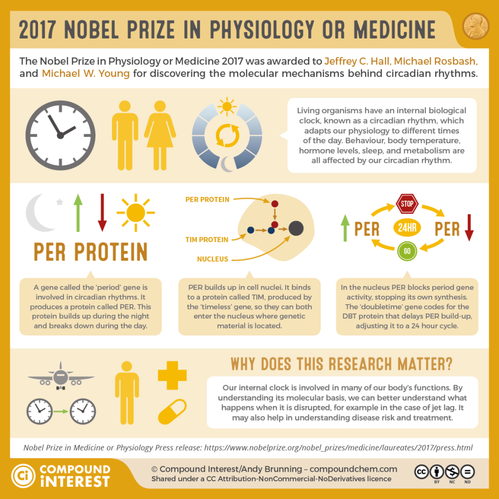 جایزه نوبل فیزیولوژی یا پزشکی 2017 را برای کشف ساز و کار مولکولی ساعت زیستی، به جفری هال، مایکل روزباش و مایکل یانگ اهدا کردند.