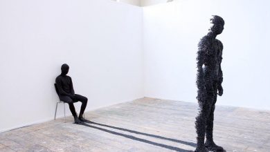 از نیمه تاریک چه می دانید؟