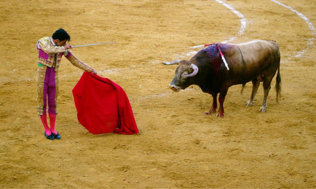 گاوبازی چیست؟