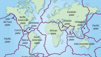 تکتونیک صفحه ای چیست؟