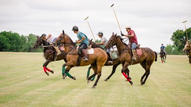 چوگان چگونه بازی می شود و قوانین آن چیست؟