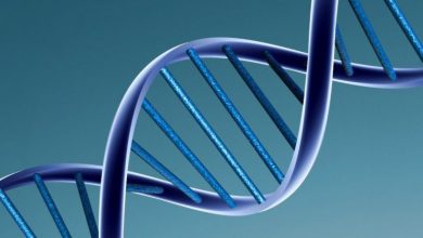 ساختار DNA چگونه کشف شد؟