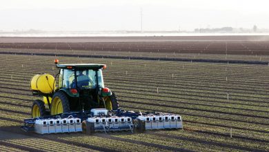 مهندسی کشاورزی چگونه منابع غذایی جمعیت بیشتر را تامین خواهد کرد؟