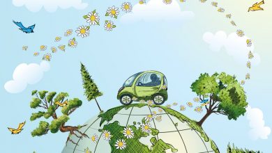 اکولوژی چیست؟