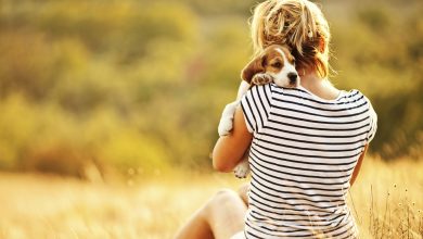 7 نشانه برای شناخت وابستگی سگ به سرپرست خود