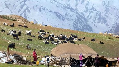 راهنمای سفر به کوهرنگ چهارمحال و بختیاری