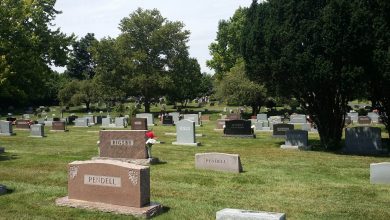 تعبیر مشاهده گورستان (قبرستان) در خواب