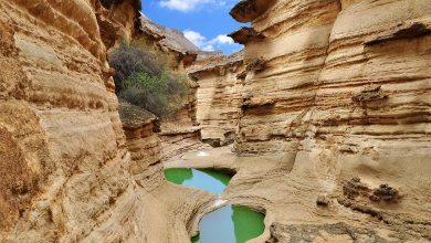 ژئوپارک جهانی قشم: اولین ژئوپارک ایران و خاورمیانه