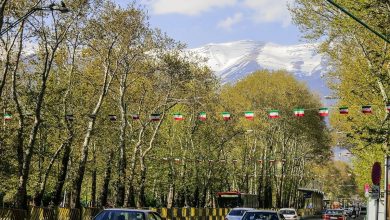 دلایل زردی و مرگ چنارهای تهران