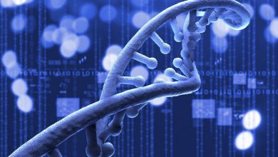 آزار جنسی روی DNA قربانیان تاثیر می گذارد