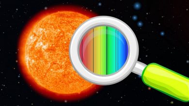 ستارگان از چه موادی تشکیل شده اند؟