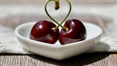 رژیم های لاغری فوری موجب تخریب عملکرد قلب می شوند