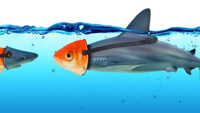 آیا حیوانات هم دروغ می گویند؟