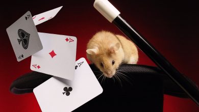 آزمون کوکولوژی شعبده بازی