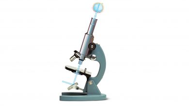 میکروسکوپ چگونه کار می کند؟