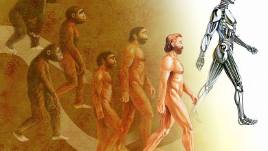 نگاهی به نظریه های تکاملی داروین