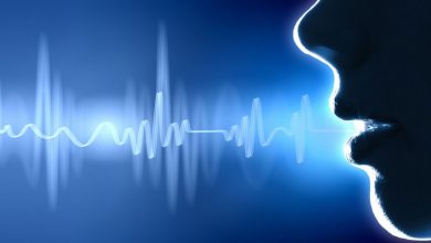 انسان چگونه سخن می گوید؟