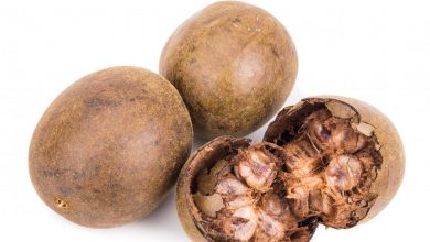 آشنایی با میوه مانک