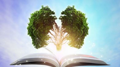 با خواندن یک کتاب فوق العاده، چه اتفاقی در مغز شما می افتد؟