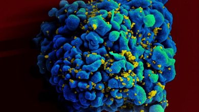 گامی دیگر به سوی واکسن HIV