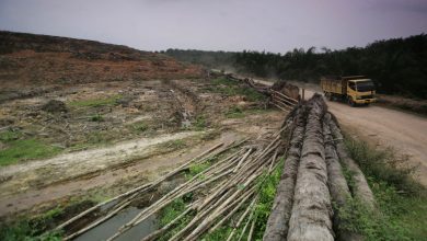 محیط زیست چگونه آلوده می شود؟