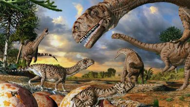 دایناسورها چه زمانی زندگی می کردند؟