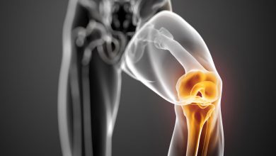 بزرگترین مفصل بدن انسان کجا قرار دارد؟