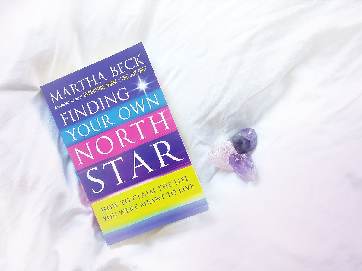 Finding Your Own North Star PDF Free Download