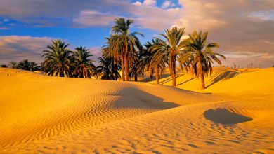 بزرگترین بیابان جهان در کجا قرار دارد؟
