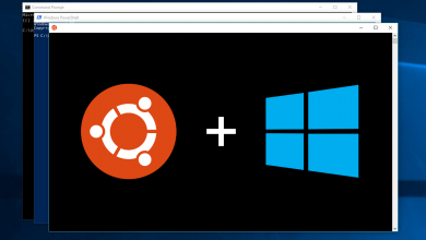 چگونه می توانیم لینوکس را داخل ویندوز اجرا کنیم؟