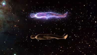 آیا خارج شدن روح از بدن واقعیت دارد؟