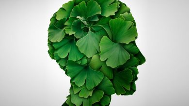 تاثیر جینکو بیلوبا در بهبود کیفیت و عملکرد حافظه