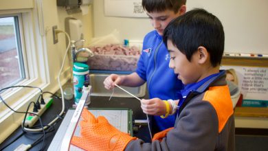 فلسفه کارگاه سازندگی آموزشی چیست؟