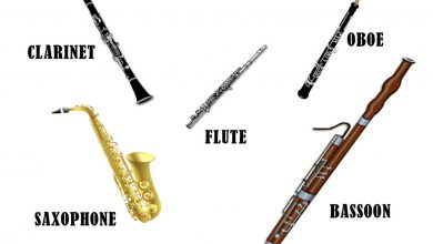 آشنایی با انواع سازهای بادی چوبی