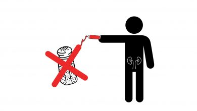 مواد غذایی مفید برای سلامت کلیه و مجاری ادرار