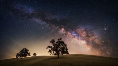 راهنمای عکاسی شب های فصل بهار