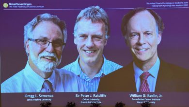 برندگان نوبل پزشکی 2019 چه دستاوردهایی داشتند؟